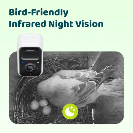 Birdfy Nest Polygon - Smart Birdhouse with Camera: White camera with infrared LEDs capturing a bird in its nest at night, showcasing bird-friendly monitoring.