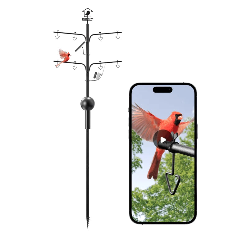 Birdfy Birdfeeder Pole Pro with Camera, featuring multiple arms and hooks, integrated camera, and solar panel, with a cardinal perched and live video feed on a smartphone.