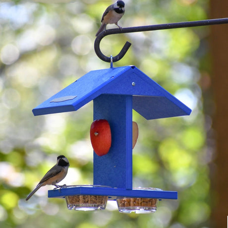 Duncraft Eco-Bluebird Feeder with two clear cups for seeds, featuring chickadees perched on a blue roof and platform against a leafy backdrop.