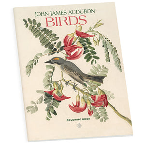 John James Audubon Birds Coloring Book featuring a bird illustration on the cover, showcasing line drawings of songbirds and waterfowl.