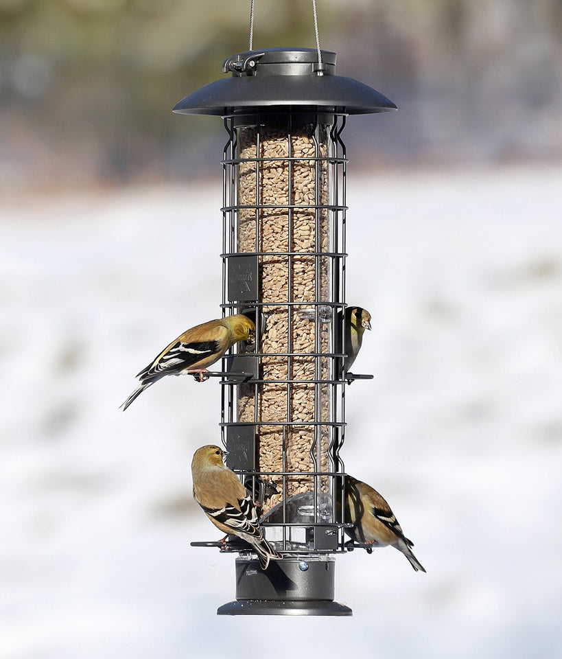 SureFill X4 Bird Feeder with sparrows perched, featuring a clear tube, four feeding stations, and a spring-loaded top for easy refills and squirrel resistance.