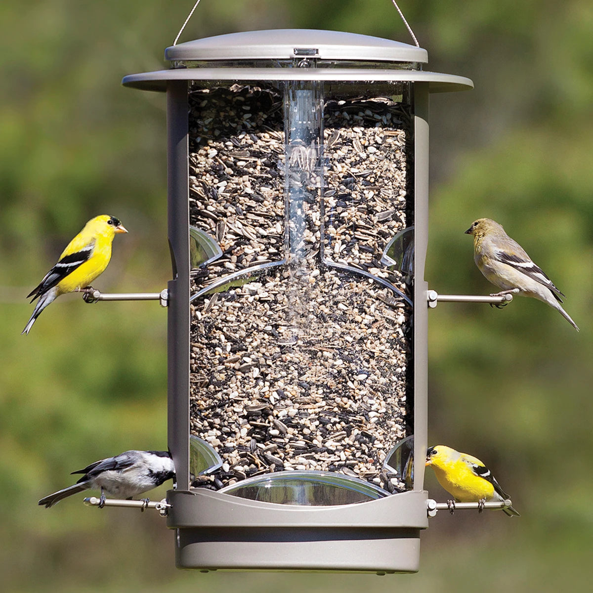 Squirrel-X1 bird feeder with birds perched, showcasing weight-activated perches and sliding metal sleeve to deter squirrels, visible feeding ports, and clear seed viewing sides.