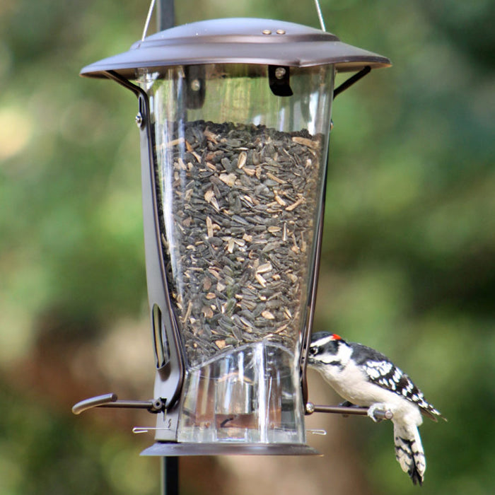 Squirrel-X2 bird feeder with a woodpecker perched on it, featuring squirrel-proof spring-loaded perches and a hinged roof for protection.