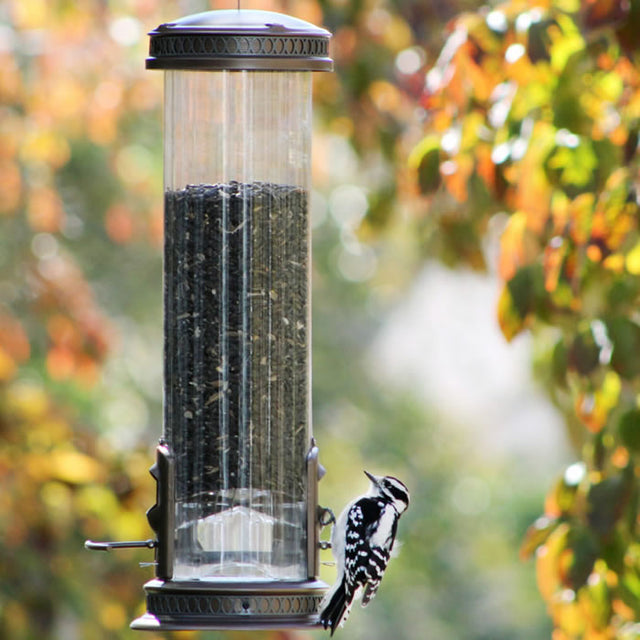 Squirrel-X3 Bronze bird feeder with a woodpecker perched on it, showcasing spring-loaded perches and a clear reservoir for viewing seed levels.