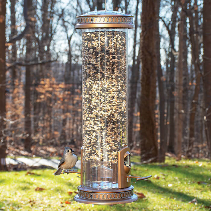 Squirrel-X3 Bronze bird feeder with a bird perched, featuring spring-loaded perches and a clear reservoir for seed levels.