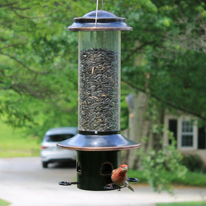 Squirrel MX5 Squirrel Proof Feeder with bird perched on it, featuring spring-loaded perches and a weather guard above feeding ports.