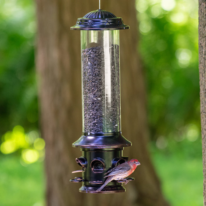 Squirrel-X5 bird feeder with a bird perched on it, featuring squirrel-proof design, six feeding ports, and a clear plastic reservoir for easy seed level viewing.