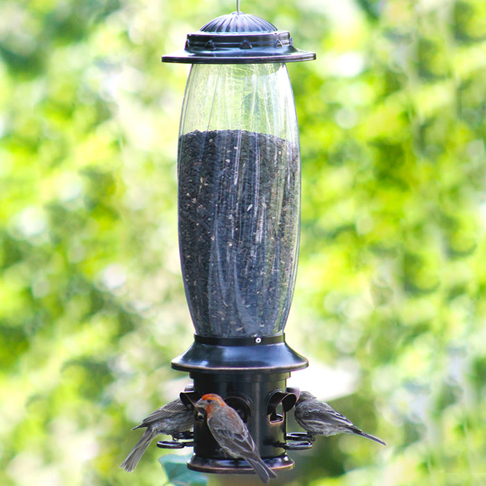 Squirrel-X6 bird feeder with multiple birds feeding, featuring a tall design to deter squirrels, visible feeding ports, and adjustable perches.