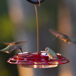 3-in-1 Hummingbird Feeder with three birds feeding, featuring a red container and multiple mounting options for window, garden, or hanging.