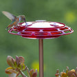 Hummingbird sipping nectar from the 3-in-1 Hummingbird Feeder, mounted on a window. The feeder features three feeding stations and a no-leak design.