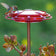 3-in-1 Hummingbird Feeder with red flower-shaped design, mounted on a pole, surrounded by succulents, offers three feeding stations and multiple mounting options.