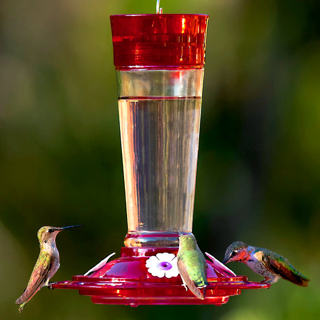 Classic Ruby Hummingbird Feeder with three iridescent hummingbirds, featuring a red base, flower-shaped ports, and built-in ant moat for insect prevention.
