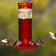 Diamond Hummingbird Feeder with red flower-shaped ports and a clear glass reservoir, surrounded by multiple hummingbirds feeding and flying around.
