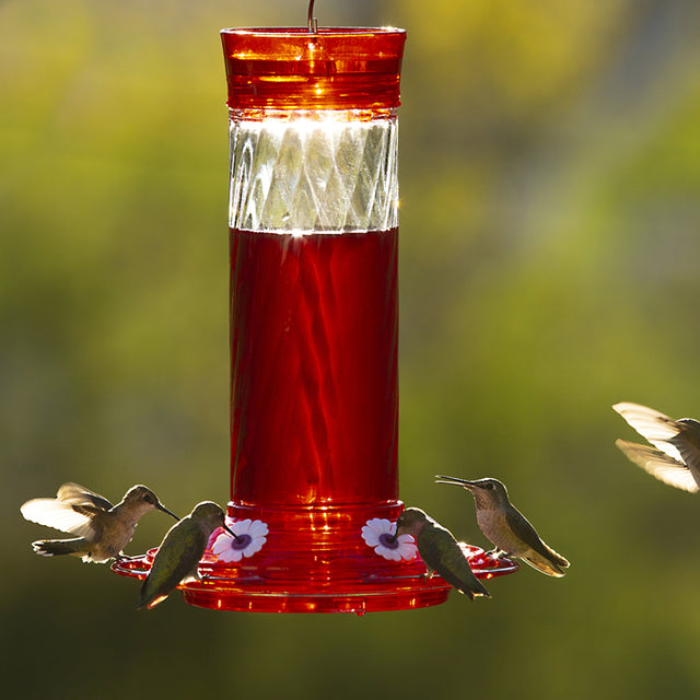 Diamond Hummingbird Feeder with red flower-shaped ports and a clear glass reservoir, surrounded by multiple hummingbirds feeding and flying around.