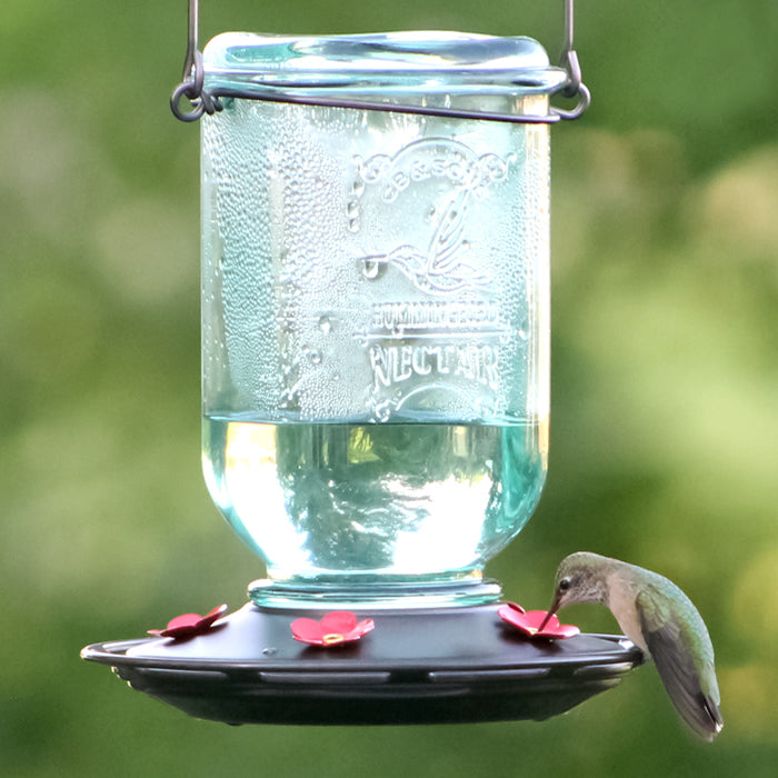 Mason Jar Nectar Feeder with a hummingbird drinking from one of the five red flower-shaped feeding ports. Clear glass jar and rustic metal hanger visible.