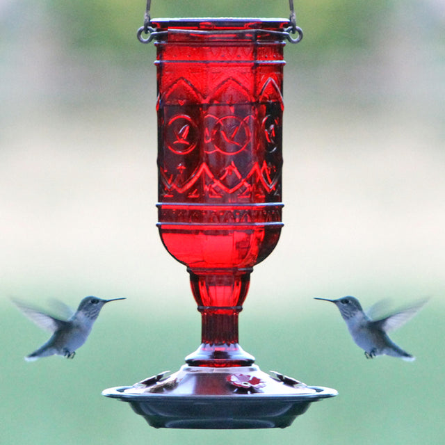 Red Jewel Hummingbird Feeder with embossed decorative hummingbirds, red flower-shaped feeding ports, metal hanger, and wraparound perch, attracting two flying hummingbirds.