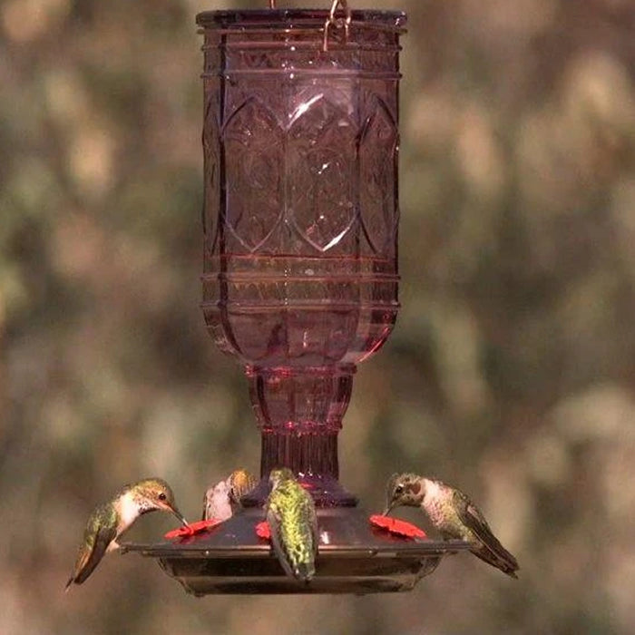 Amethyst Jewel Hummingbird Feeder with embossed hummingbirds, red flower feeding ports, and wraparound perch, hanging outdoors with multiple hummingbirds feeding.