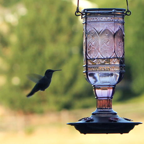 Amethyst Jewel Hummingbird Feeder with embossed decorative hummingbirds, red flower-shaped feeding ports, and a wraparound perch, providing five feeding stations and an easy-to-clean two-piece base.