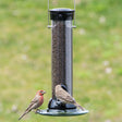 Droll Yankees 12 Onyx Clever Clean Finch Seed Feeder with bird perched on the feeder, featuring two feeding ports and a removable base for easy cleaning.