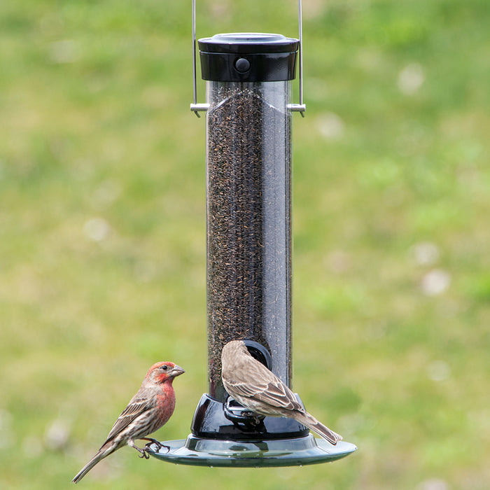 Droll Yankees 12 Onyx Clever Clean Finch Seed Feeder with bird perched on the feeder, featuring two feeding ports and a removable base for easy cleaning.