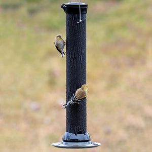 Droll Yankees Onyx Clever Clean 18 Finch Magnet Feeder with two birds feeding on the mesh tube, featuring diamond-shaped openings and a 6.5-inch seed tray.