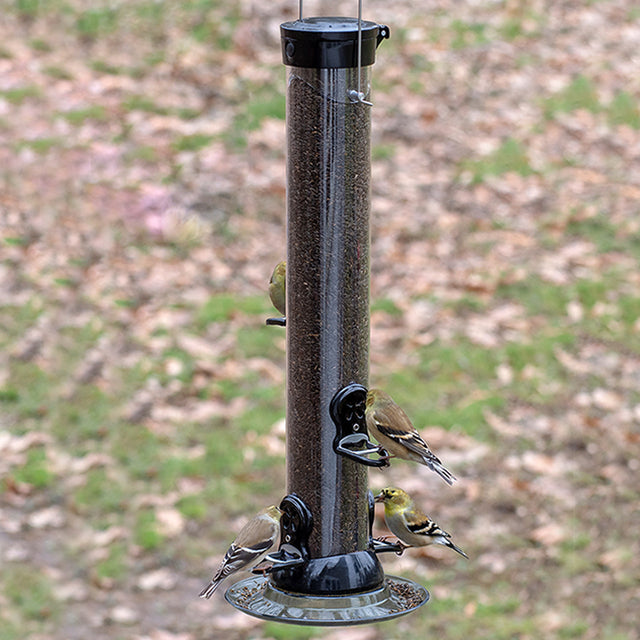 Droll Yankees 18 Onyx Clever Clean Finch Seed Feeder with birds feeding, featuring a twist-and-release base, two ports, and a seed tray.