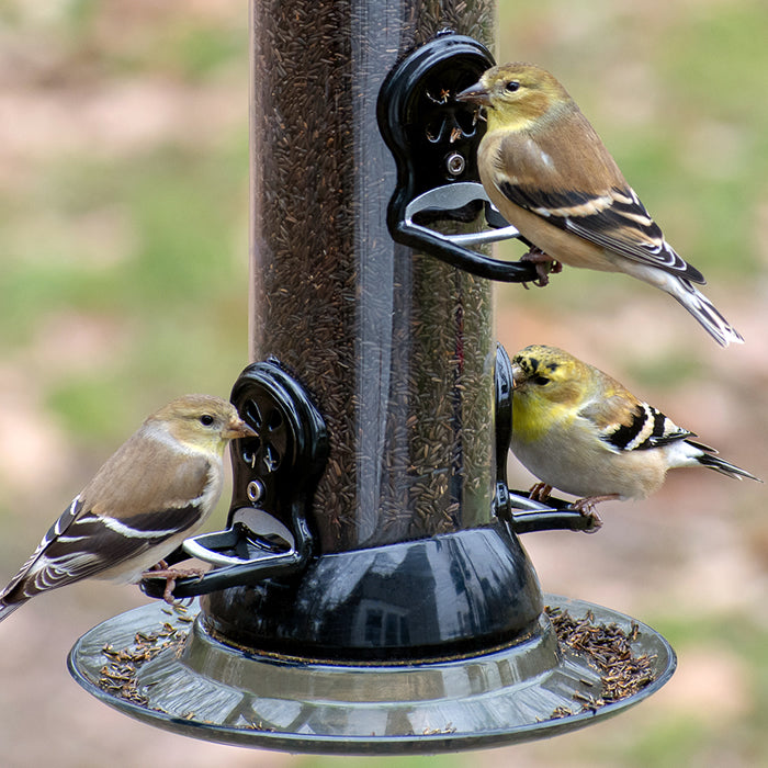 Droll Yankees 24 Onyx Clever Clean Nyjer® Seed Feeder with six feeding ports, perches, and a twist-and-release base, attracting multiple birds.