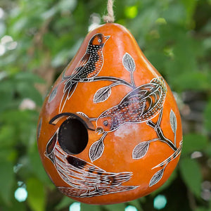 Birdhouse hanging from a tree, featuring a handcrafted design with a 1¼” opening, drainage holes, and protective coating.