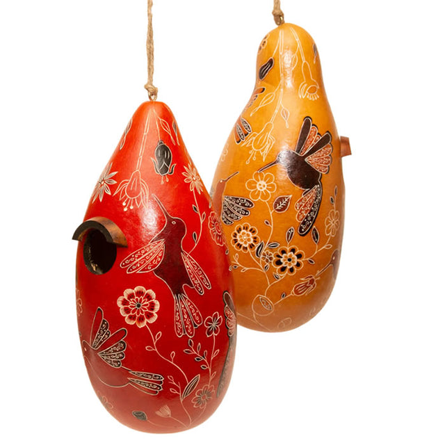 Hummingbird Gourd Birdhouse featuring a decorative gourd with a bird design, perfect for small birds. Comes ready to hang with drainage holes and protective varnish.