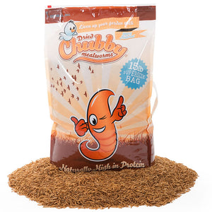 Bag of 15 lbs. Chubby Mealworms with a cartoon character, placed on brown grass. High-protein dried mealworms for birds, resealable bulk bag with handle.