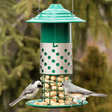Combo Mealworm, Suet Balls or Peanut Feeder with green metal roof, perforated sheath, and peanuts. Two songbirds, a chickadee and tufted titmouse, peck at peanuts.