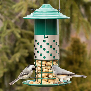 Combo Mealworm, Suet Balls or Peanut Feeder featuring birds perched and feeding, with adjustable hopper and locking metal sleeve for varied bird snacks.