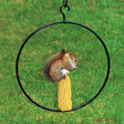 Squirrel eating corn on a black 14-inch diameter Corn Ring with a blunted nail, featuring a hanging hook for easy setup.