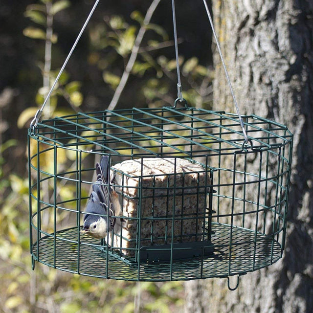 Squirrel Proof Pop Out Suet Cage Feeder with metal wire caging, holds two suet cakes, features easy-to-fill pop-out basket, designed to attract smaller birds.