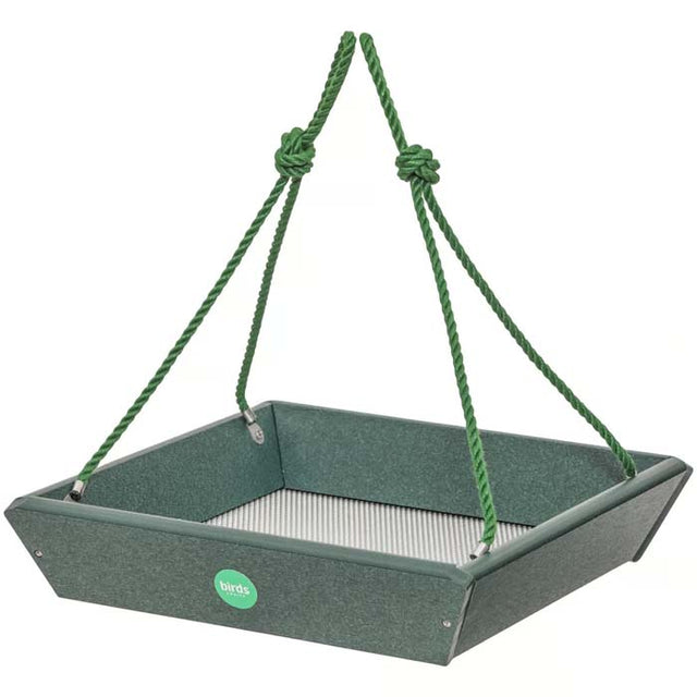 Birds Choice Hanging Tray Bird Feeder with green ropes and an open feeding tray for easy bird watching. Holds 2 lbs. of seed.