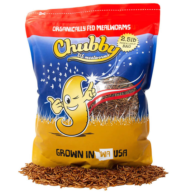 Bag of 2.5 lbs. Chubby US Grown Dried Mealworms with cartoon character, high-protein, organically fed mealworms for insect-eating birds.