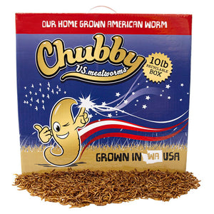 Box of 10 lbs. Chubby US Grown Dried Mealworms, high-protein insect treat for birds, shown on a white background.