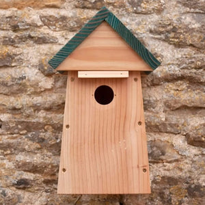 Carolina Bird Nest Box on a stone wall, featuring a triangular wooden frame, ventilation slots, and a circular entrance hole, designed for camera installation.