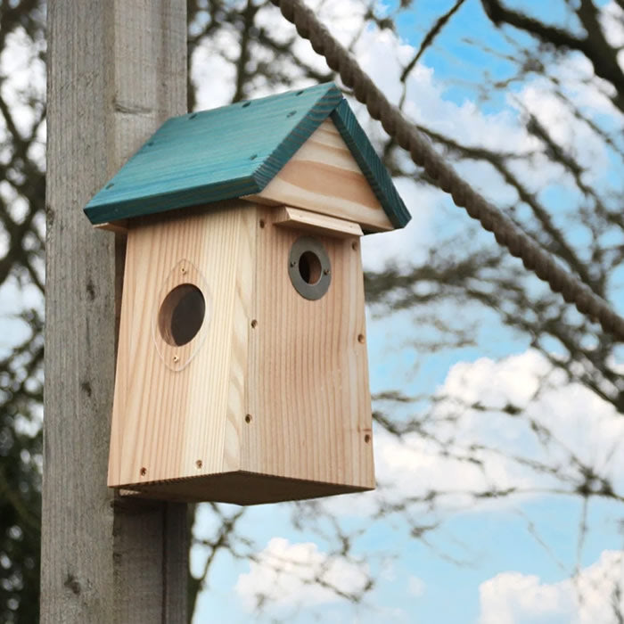 Carolina Nest Box on a pole featuring two entrance holes and ample roof space for camera installation, designed for birdwatching and predator protection.