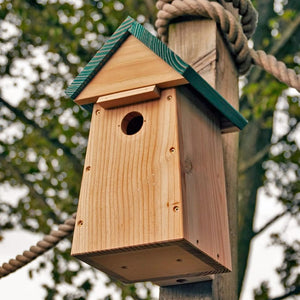 Carolina Nest Box: Wooden birdhouse on a tree, designed for easy camera installation, with ventilation slots and predator protection. Ideal for birdwatching and mounting on trees or walls.