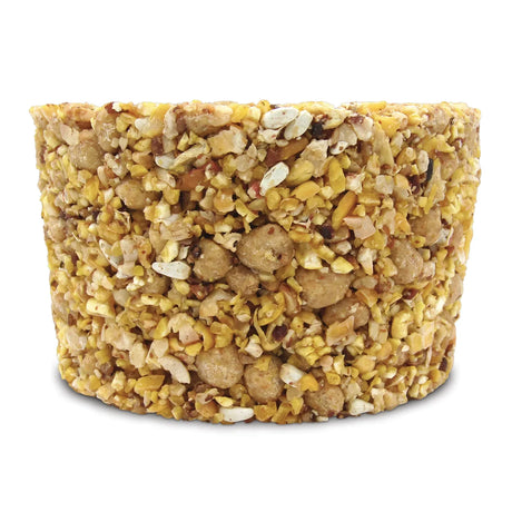 Woodpecker Snak™ with Peanut Nuggets™ Stak'em, Set of 4; pressed nut and seed cake for birds, featuring peanuts, sunflower bits, and a central hole for stacking.