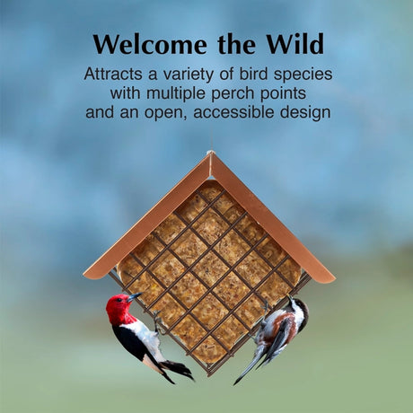 Copper Roof Suet Feeder with metal grid holds one suet cake. Two birds feed from it, showcasing its multiple perch points and open, accessible design.