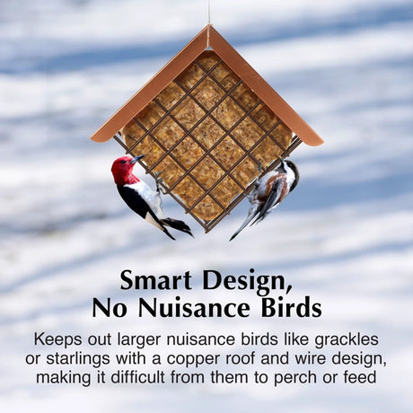 Copper Roof Suet Feeder with angled wire cage, keeping larger birds out. Features shiny copper roof. Woodpecker and chickadee feed on suet cake inside.