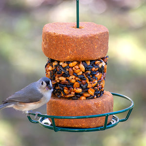 Hot Pepper Stak'em Feeder Set featuring a green metal feeder with a circular perch and a bird enjoying the included seed and suet cakes.