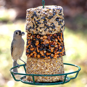 High Energy Stak'em Feeder Set with a bird perched on the feeder, showcasing ample landing space and the included Stak'em treats for easy bird feeding.