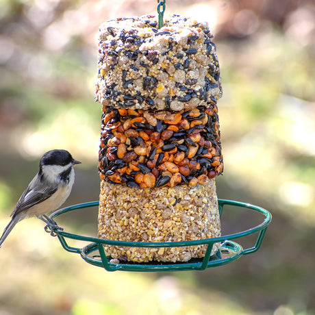 High Energy Stak'em Feeder Set featuring a green metal feeder with a built-in perch and a bird feeding on Stak'em treats.