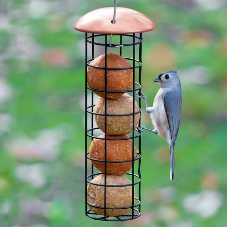 Suet Ball Feeder with four seed cakes, a tufted titmouse feeding. Black wire mesh design with copper roof, easy refill for backyard birdwatching.
