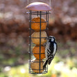 Suet Ball Feeder with a woodpecker feeding, designed for easy suet ball placement and optimal bird support. Features a copper roof and black wire mesh.