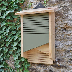 Conservation Bat Box mounted on a stone wall, featuring twin vertical chambers with angled cut-away front and ladder-style grooves for bat roosting.