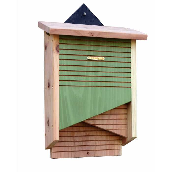 Conservation Bat Box: A wooden bat box with a green door, solar panel, and gold logo, designed with twin vertical chambers and ladder-style grooves for easy bat access.